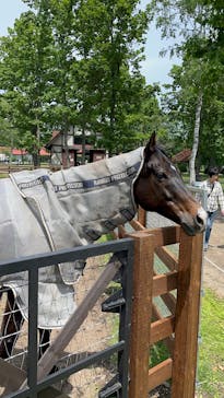 ノーザンホースパークに投稿された画像（2025/6/13）