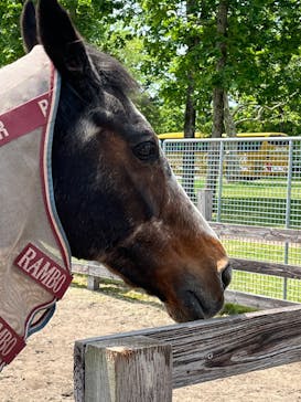 ノーザンホースパークに投稿された画像（2025/6/13）