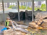 しながわ水族館に投稿された画像（2025/6/13）