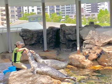 しながわ水族館に投稿された画像（2025/6/13）