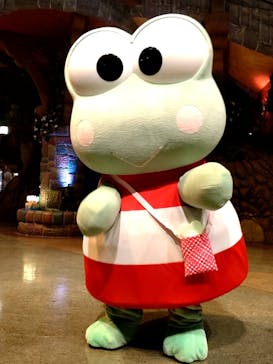 サンリオピューロランドに投稿された画像（2025/6/13）