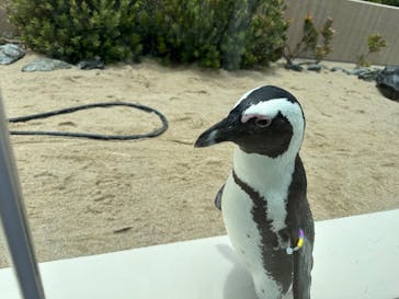 マリンワールド海の中道に投稿された画像（2025/6/13）