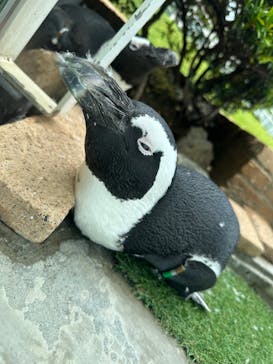 マリンワールド海の中道に投稿された画像（2025/6/13）