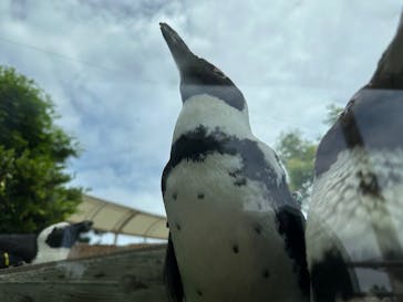 マリンワールド海の中道に投稿された画像（2025/6/13）