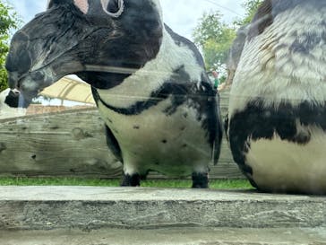 マリンワールド海の中道に投稿された画像（2025/6/13）