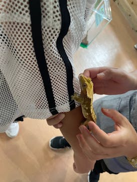 いきもの探検隊上尾に投稿された画像（2025/6/13）