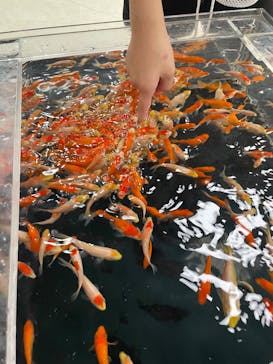 いきもの探検隊上尾に投稿された画像（2025/6/13）