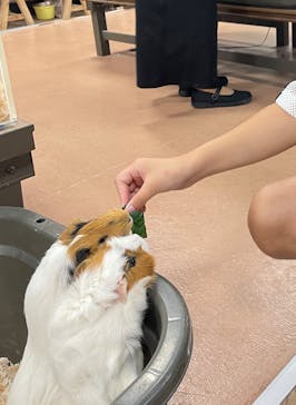 いきもの探検隊上尾に投稿された画像（2025/6/13）