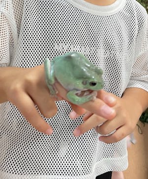 いきもの探検隊上尾に投稿された画像（2025/6/13）