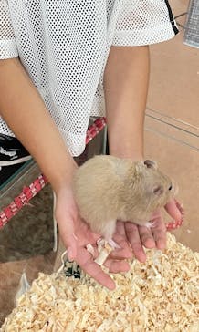 いきもの探検隊上尾に投稿された画像（2025/6/13）