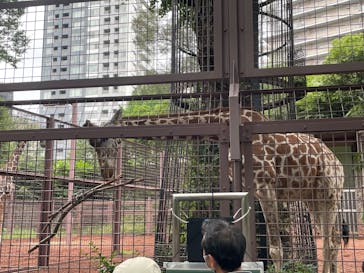 恩賜上野動物園に投稿された画像（2025/6/13）