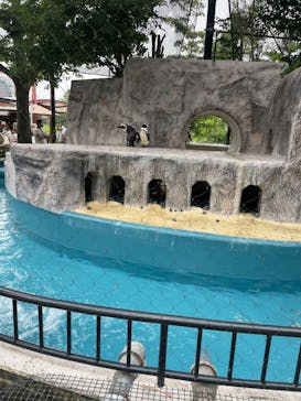 恩賜上野動物園に投稿された画像（2025/6/13）