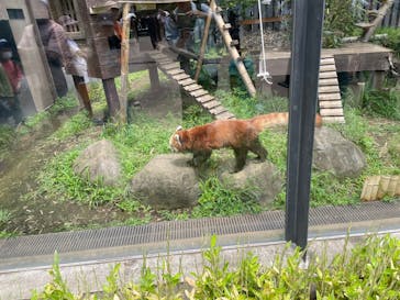 恩賜上野動物園に投稿された画像（2025/6/13）