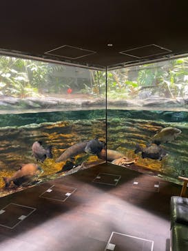 カワスイ 川崎⽔族館に投稿された画像（2025/6/13）