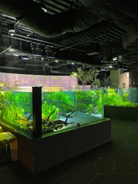 カワスイ 川崎⽔族館に投稿された画像（2025/6/13）