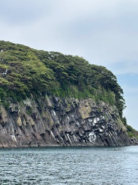 東尋坊観光遊覧船株式会社に投稿された画像（2025/6/13）