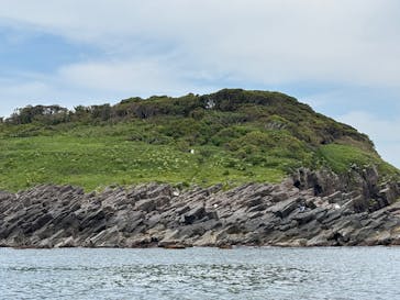 東尋坊観光遊覧船株式会社に投稿された画像（2025/6/13）