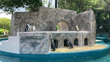 恩賜上野動物園に投稿された画像（2025/6/13）