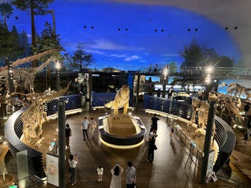 福井県立恐竜博物館に投稿された画像（2025/6/13）