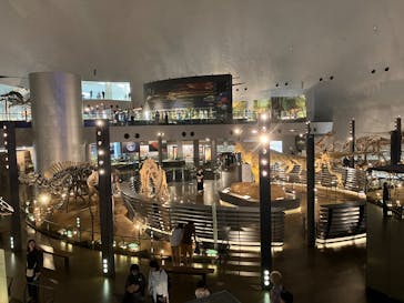 福井県立恐竜博物館に投稿された画像（2025/6/13）