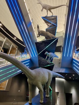 福井県立恐竜博物館に投稿された画像（2025/6/13）