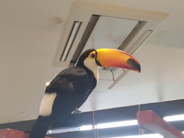 アニタッチみなとみらいに投稿された画像（2025/6/13）