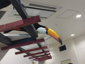 アニタッチみなとみらいに投稿された画像（2025/6/13）