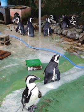 伊豆・三津シーパラダイスに投稿された画像（2025/6/13）