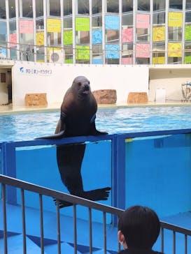 伊豆・三津シーパラダイスに投稿された画像（2025/6/13）