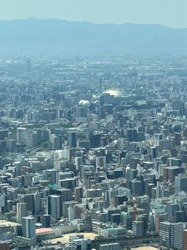 ハルカス300(展望台)に投稿された画像（2025/6/13）