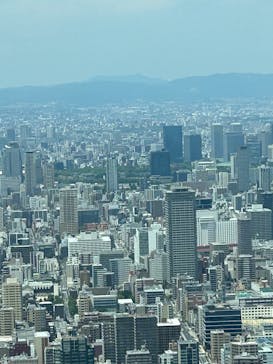 ハルカス300(展望台)に投稿された画像（2025/6/13）