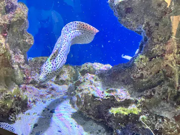 仙台うみの杜水族館に投稿された画像（2025/6/13）