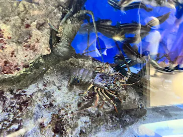仙台うみの杜水族館に投稿された画像（2025/6/13）