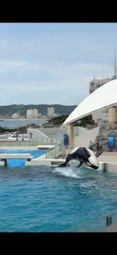 鴨川シーワールドに投稿された画像（2025/6/13）