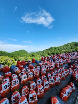 勝尾寺に投稿された画像（2025/6/13）