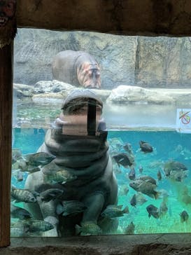 天王寺動物園に投稿された画像（2025/6/14）