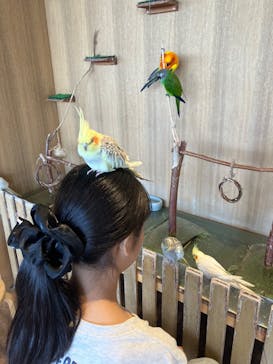 Moff animal cafe 小田原ダイナシティ店に投稿された画像（2025/6/14）