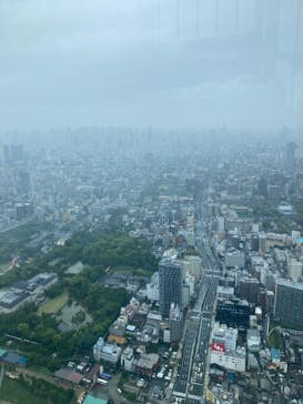 ハルカス300(展望台)に投稿された画像（2025/6/14）