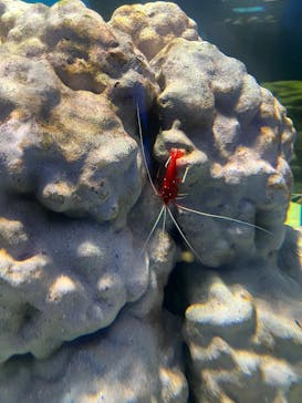 NIFREL（ニフレル）に投稿された画像（2025/6/14）