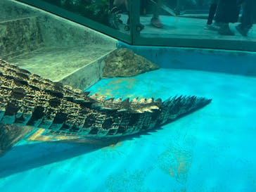 NIFREL（ニフレル）に投稿された画像（2025/6/14）