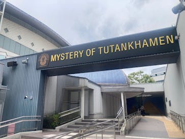 MYSTERY OF TUTANKHAMEN 体感型古代エジプト展に投稿された画像（2025/6/14）