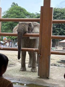 東武動物公園に投稿された画像（2025/6/14）
