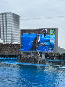 名古屋港水族館に投稿された画像（2025/6/14）