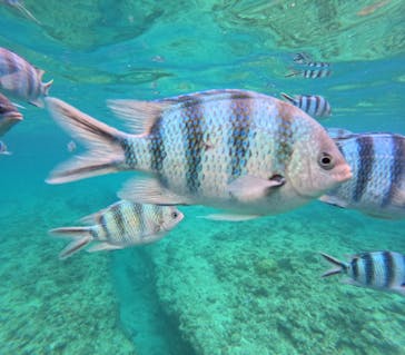 沖縄マリンサービス碧に投稿された画像（2025/6/14）