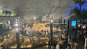 福井県立恐竜博物館に投稿された画像（2025/6/14）