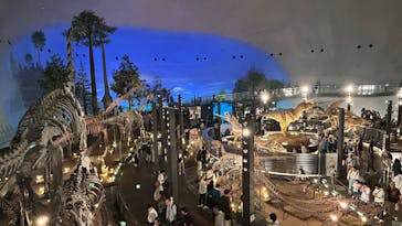 福井県立恐竜博物館に投稿された画像（2025/6/14）