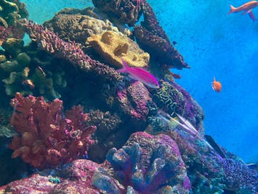 城崎マリンワールドに投稿された画像（2025/6/14）