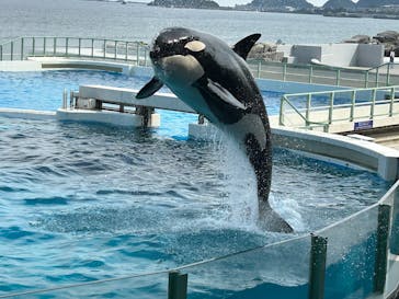 鴨川シーワールドに投稿された画像（2025/6/14）