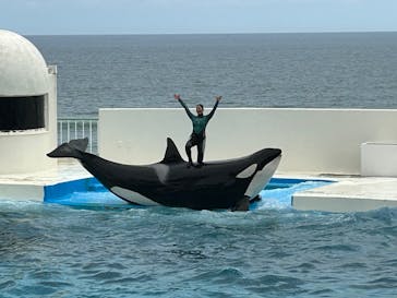 鴨川シーワールドに投稿された画像（2025/6/14）