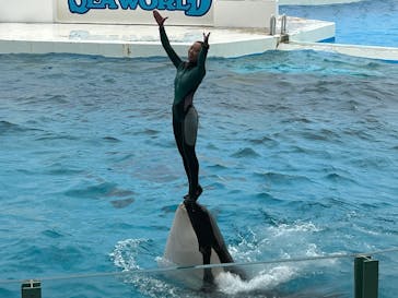 鴨川シーワールドに投稿された画像（2025/6/14）